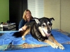 Joschi I. u.a. mit Arthrosen in verschiedenen Gelenken, Cauda-Equina-Compression...